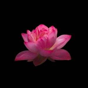 Meet your Posher, Aniah